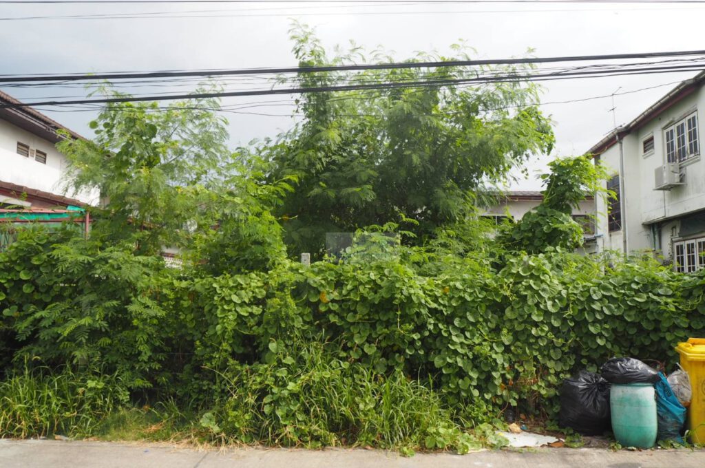 Land For Sale in Nonthaburi Prachachuen (ประชาชื่น) Located at Soi Prachachuen Nonthaburi 8 Tambon Tha Sai, Amphoe Mueang Nonthaburi, Chang Wat Nonthaburi 11000
