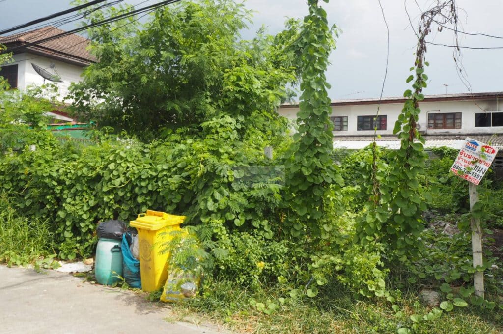 Land For Sale in Nonthaburi Prachachuen (ประชาชื่น) Located at Soi Prachachuen Nonthaburi 8 Tambon Tha Sai, Amphoe Mueang Nonthaburi, Chang Wat Nonthaburi 11000