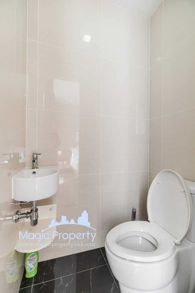 1 Bedroom For Sale / Rent in Park 24 Condominium, Khlong Tan, Khlong Toei, Bangkok