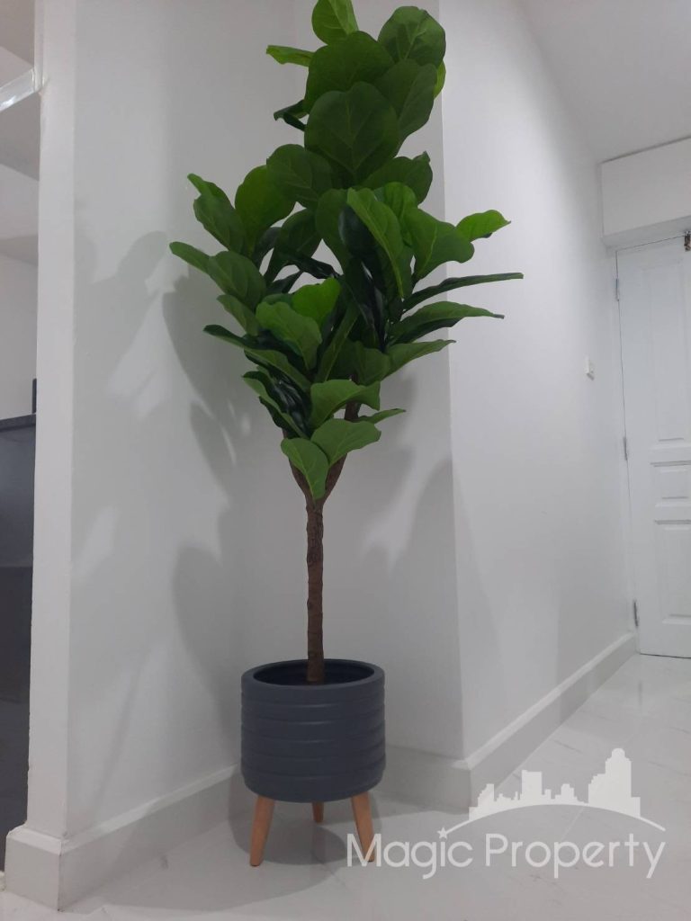 Property Image – The Waterford Diamond