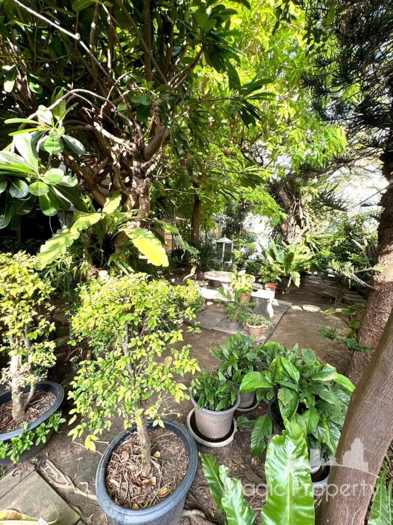 Property Image – Single House Ekkamai 28