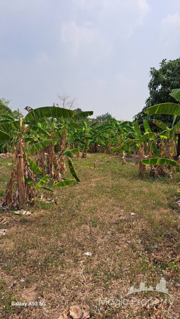 For Sale Land in Bang Lamung, Chon Buri | ฿117,704,000 | MGP1416 – Photo 2