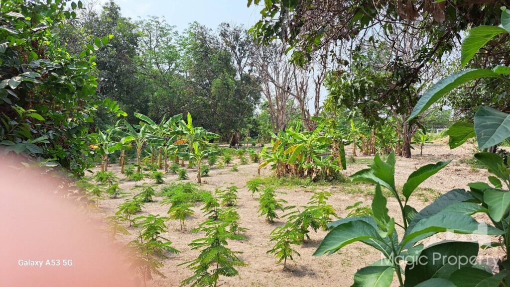 For Sale Land in Bang Lamung, Chon Buri | ฿117,704,000 | MGP1416 – Photo 3